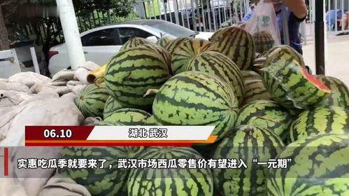 吃瓜销售事件,揭秘网络热销背后的真相