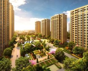 吃瓜小区金茂悦,吃瓜群众眼中的繁华小区众生相