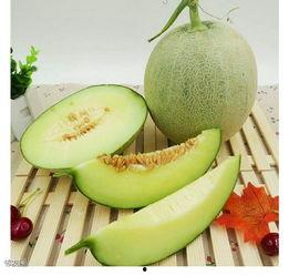 吃海阳网纹瓜,夏日里的甜蜜诱惑，品味传统与自然的完美交融