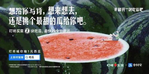 喝茶吃瓜文案,悠然一夏的味蕾之旅