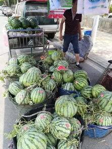 湖南涟源吃瓜事件,一场网络谣言引发的社区风波