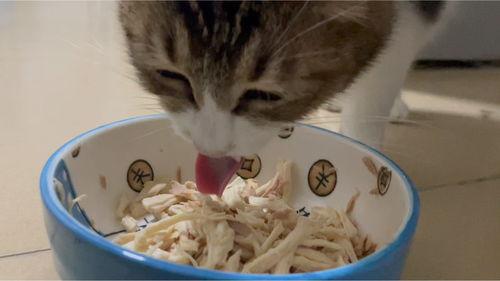 沉浸式吃白瓜,白瓜的鲜甜诱惑