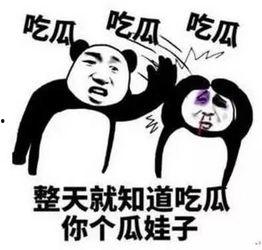 吃瓜群众免费吃瓜群,揭秘“吃瓜群众免费吃瓜群”的神秘魅力