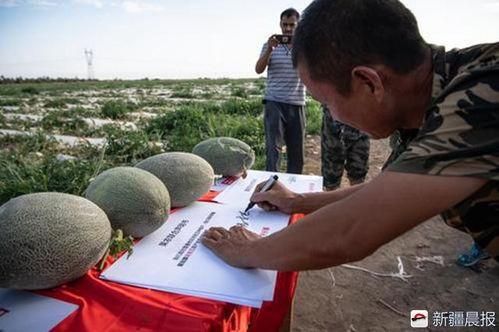 凌晨吃的瓜,揭秘娱乐圈那些不为人知的幕后故事