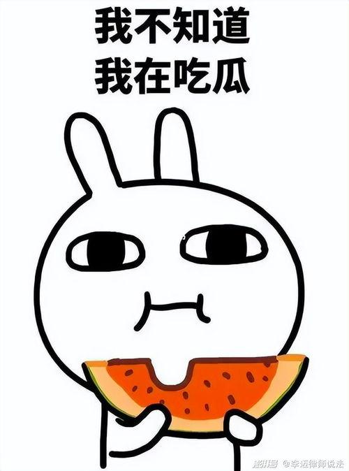 吃瓜丑角,揭秘娱乐圈幕后风云