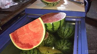 吃瓜饭后散步,闲谈与生活的和谐交响