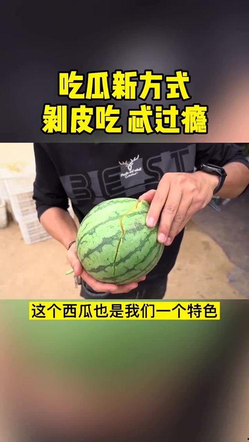 吃瓜新玩法,揭秘网红瓜界的趣味玩法