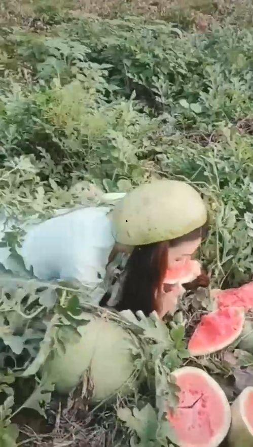 爱姐搞笑吃瓜,笑料百出，瓜田里的欢乐时光