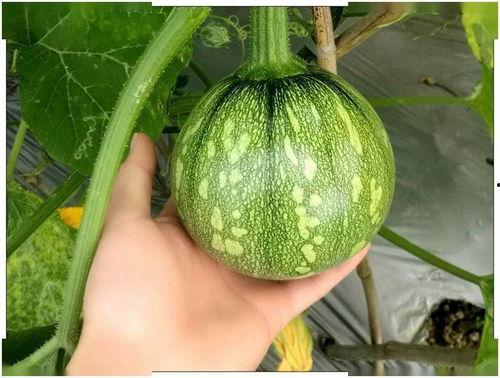 小边儿吃瓜,揭秘娱乐圈那些不为人知的幕后故事