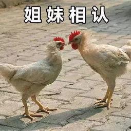 为什么没有峡谷吃瓜群众,揭秘吃瓜群众的缺席之谜