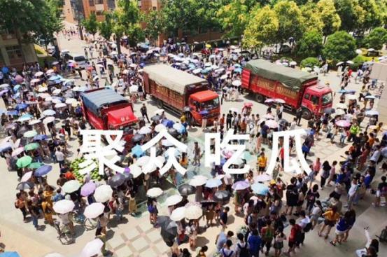 大学吃瓜圣地,那些不可不知的校园趣闻轶事