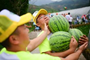 396 现场吃瓜,围观吃瓜，揭秘娱乐圈幕后风云