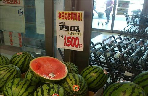 吃瓜辽宁,揭秘东北美食背后的故事