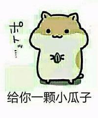 吃瓜子吃瓜表情包,吃瓜子吃瓜表情包，解锁欢乐新姿势