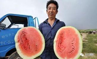 全国吃瓜看热闹