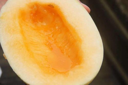 重度吃瓜爱好者,重度吃瓜爱好者深度解析