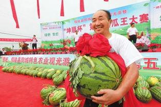 许昌鄢陵吃瓜,许昌鄢陵的夏日美味之旅