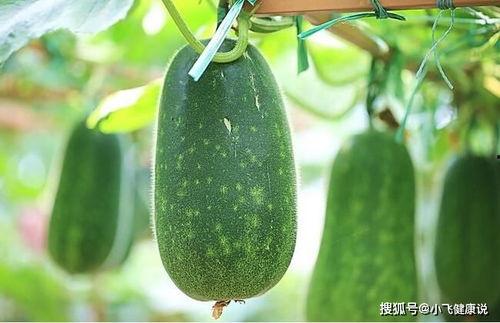 女性吃的瓜,女性必吃的健康瓜果大盘点