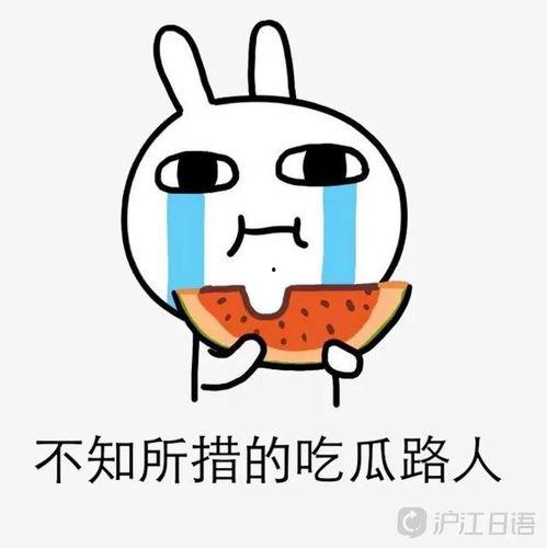 吃瓜吃到门上了,竟至家门难入！揭秘“吃瓜族”的疯狂生活