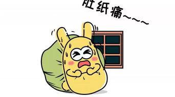 吃瓜群众姐弟,揭秘娱乐圈背后的温馨故事