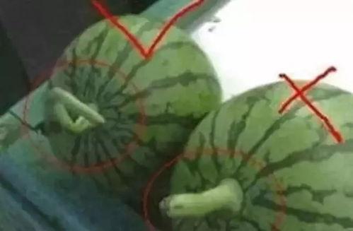 卡小妹吃瓜,揭秘娱乐圈那些不为人知的幕后故事