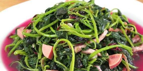 玉瓜芽怎么吃,探索美味与营养的完美结合